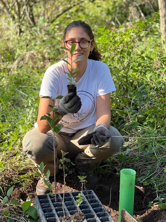 Volunteer planting a tree